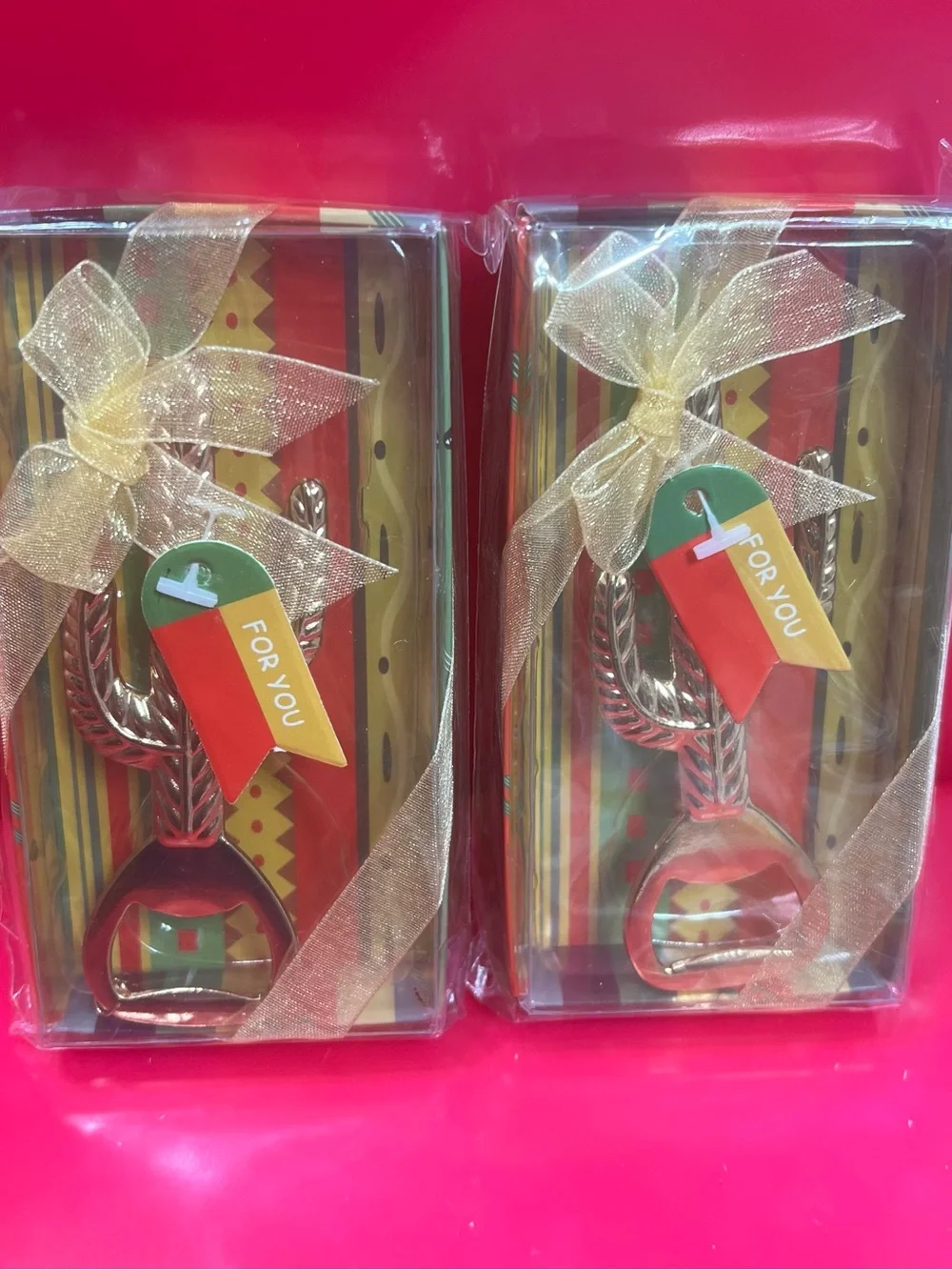 Cactus Gift-Ready Decorative Bottle Opener with Ribbon Tag (2)